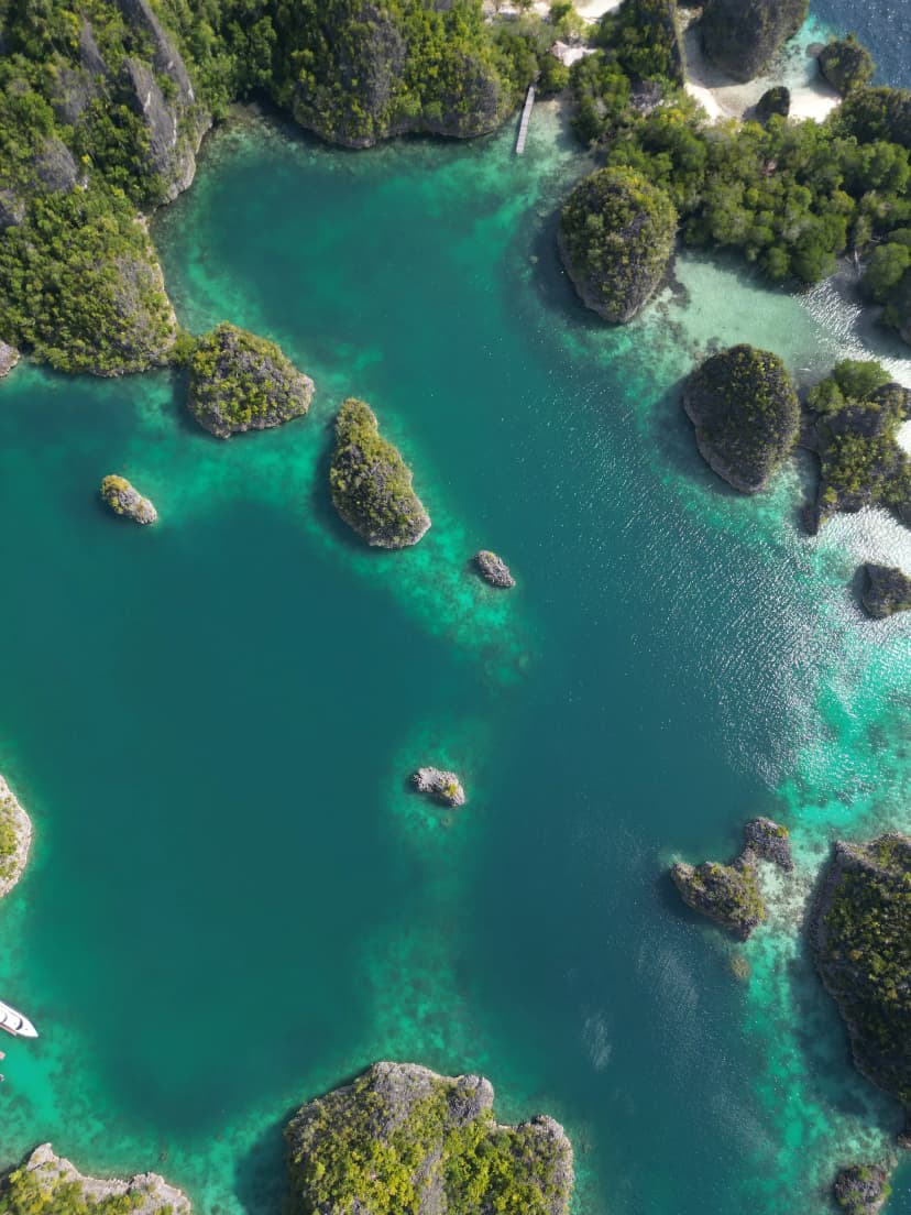 One Store, Every Island: Sharing State Across Astro Islands